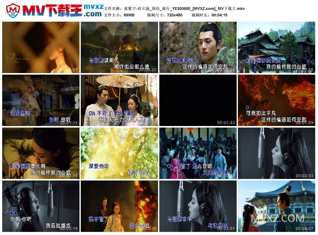 张紫宁-对立面_国语_流行_YE200650